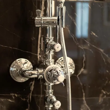 Emilia - De Prestige Au Coeur De Apartment Nancy